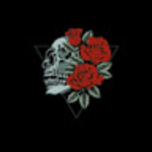 Meet your Posher, Annamarie